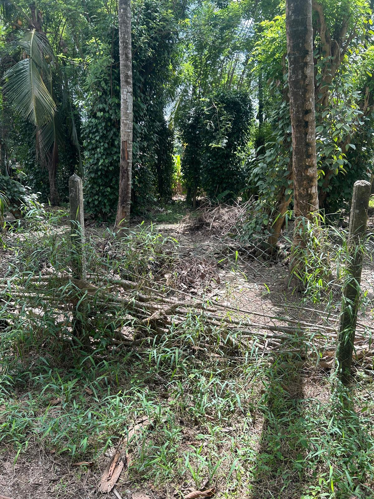 27 Perches Land for Sale in Yakkala Town