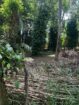 27 Perches Land for Sale in Yakkala Town