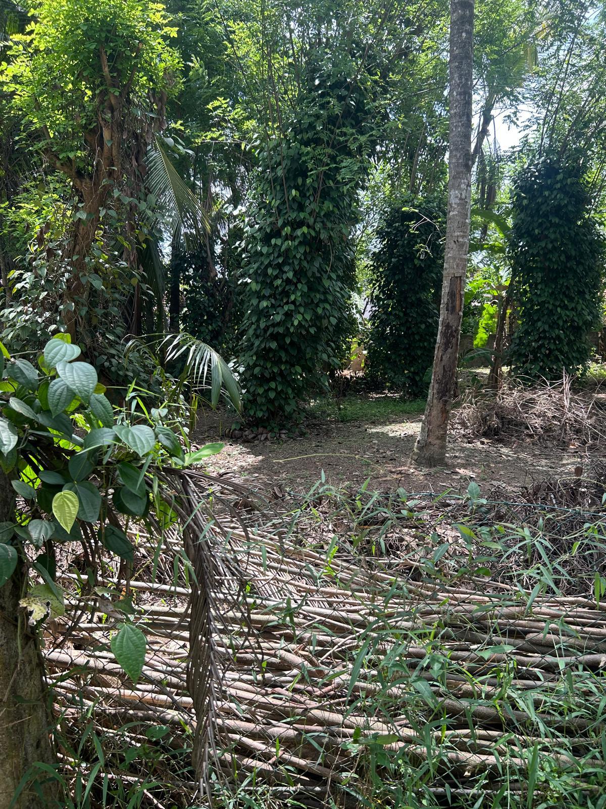 27 Perches Land for Sale in Yakkala Town