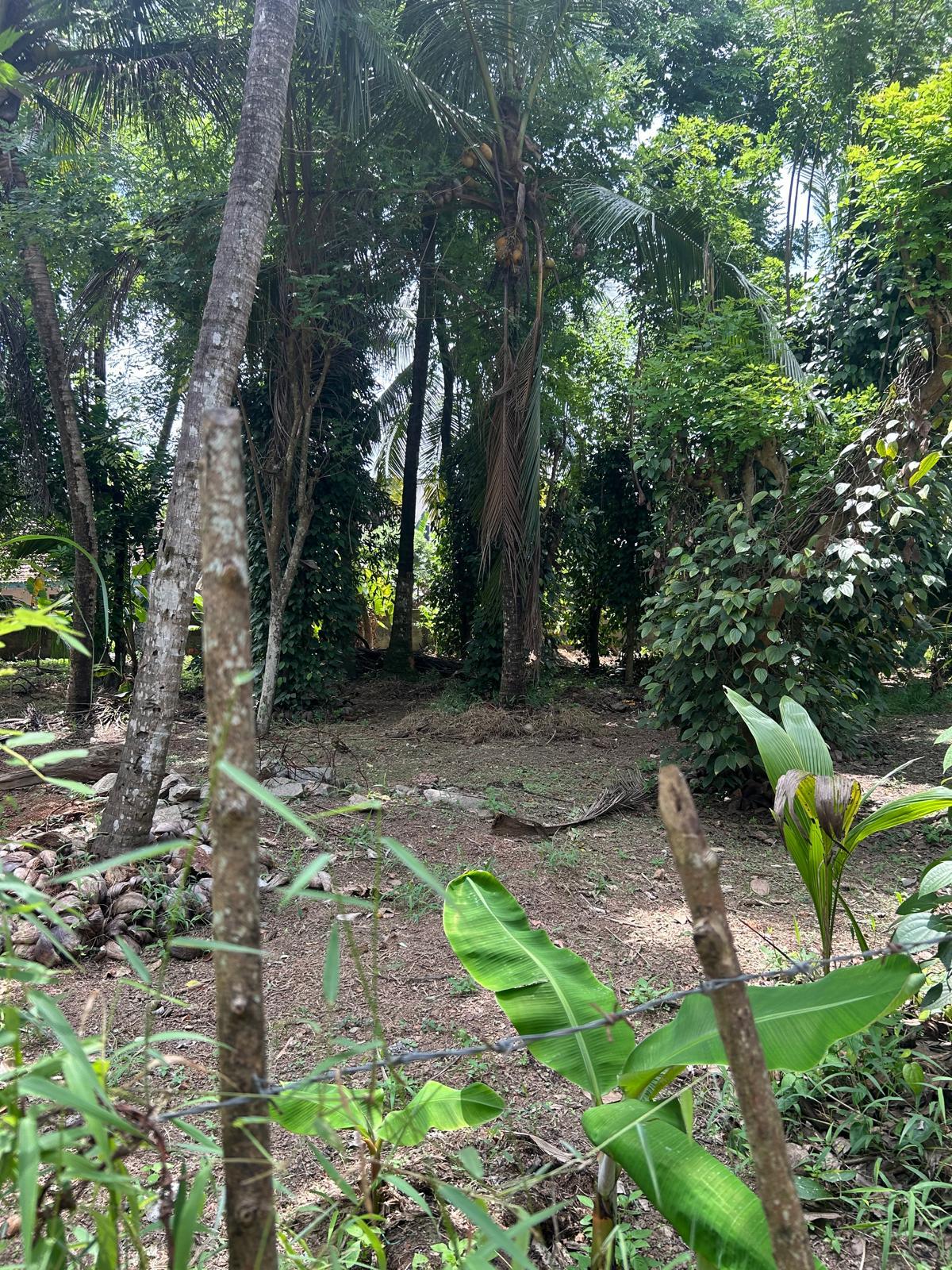 27 Perches Land for Sale in Yakkala Town