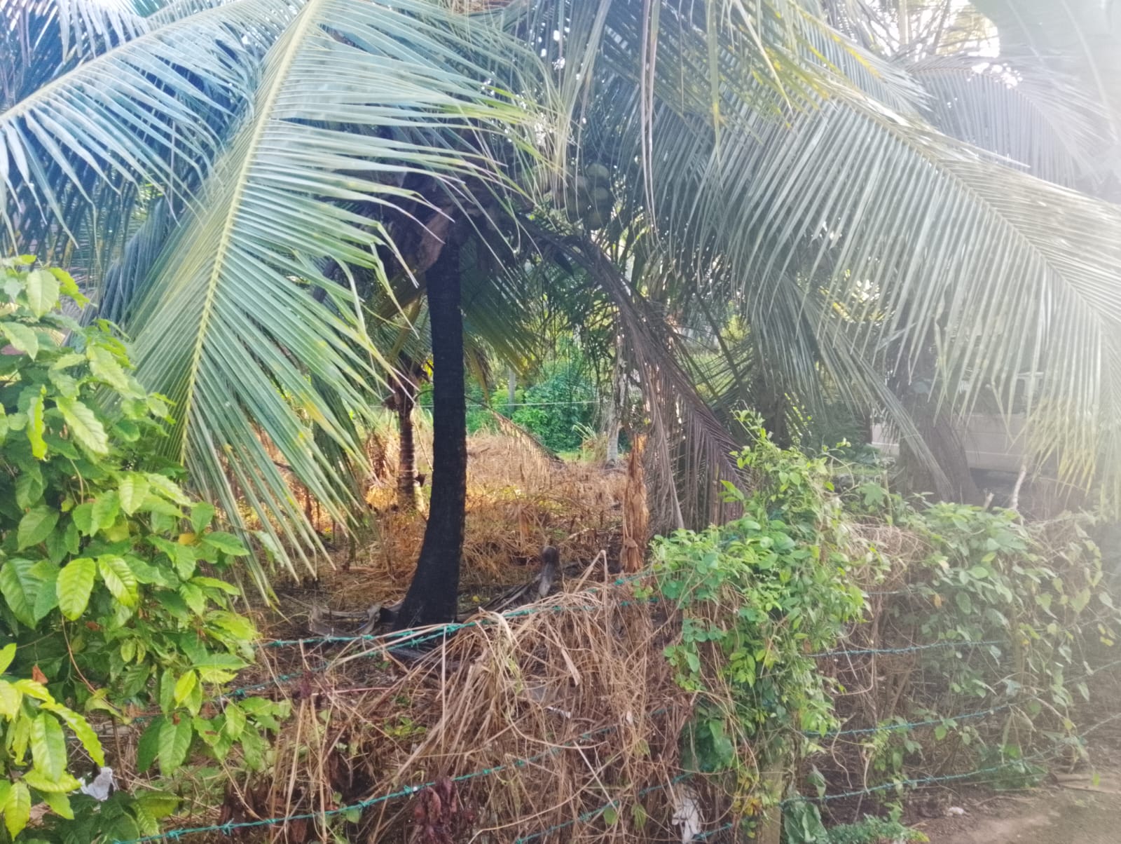 Residential Land for Sale Piliyandala