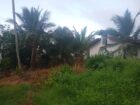Residential Land for Sale Piliyandala