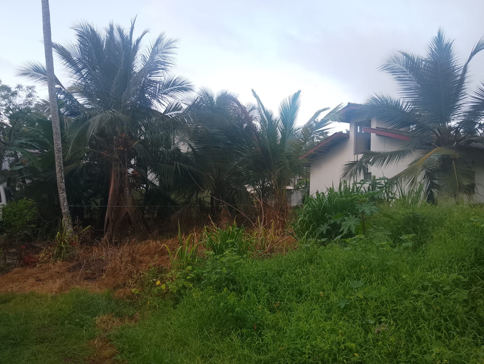 Residential Land for Sale Piliyandala