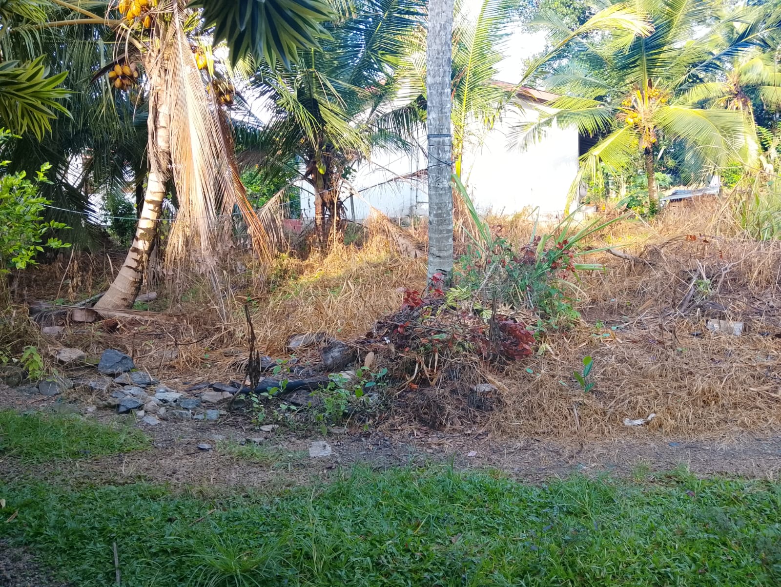 Residential Land for Sale Piliyandala
