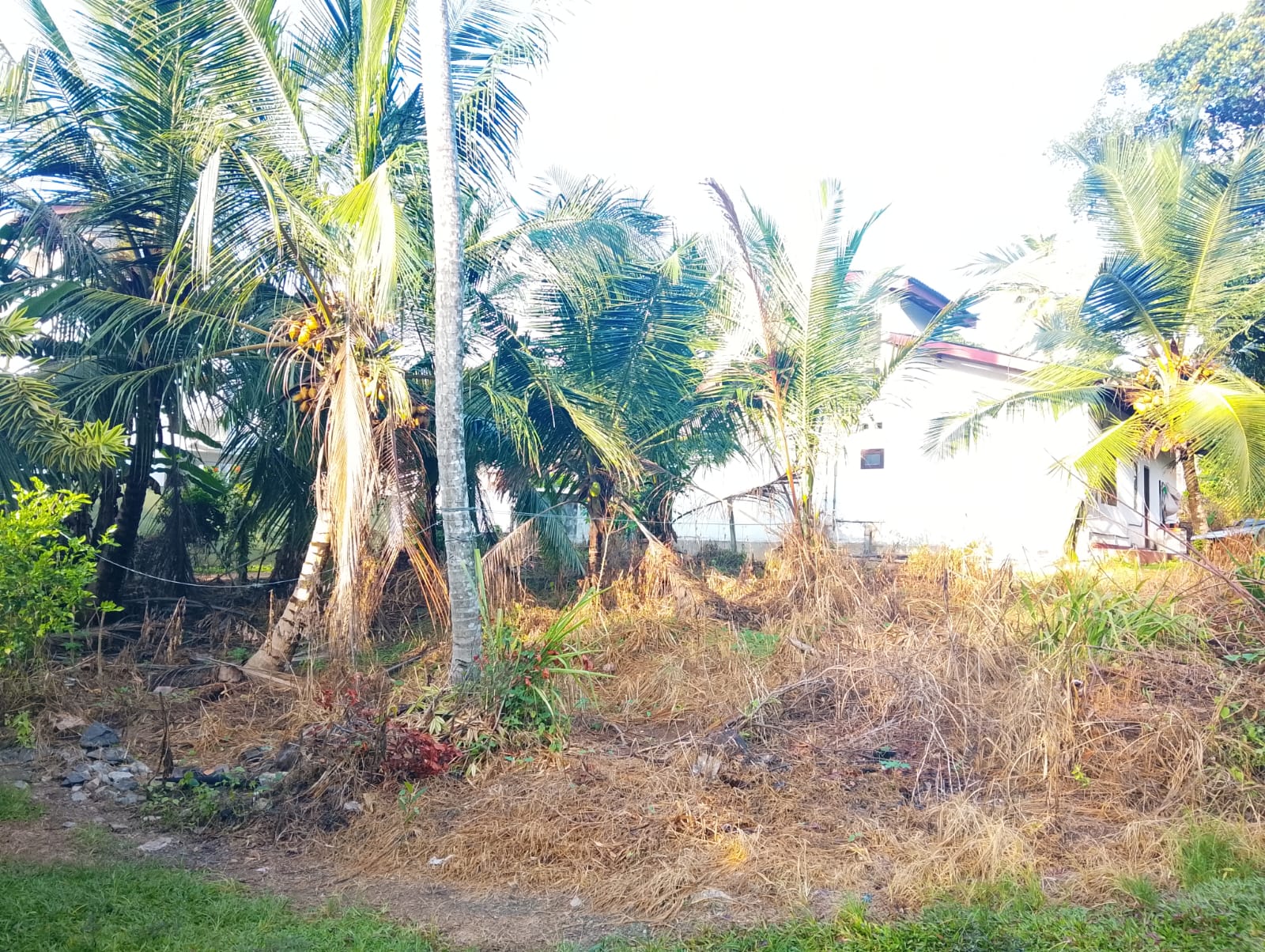 Residential Land for Sale Piliyandala