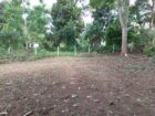 Land for Sale – Homagama, Uduwana
