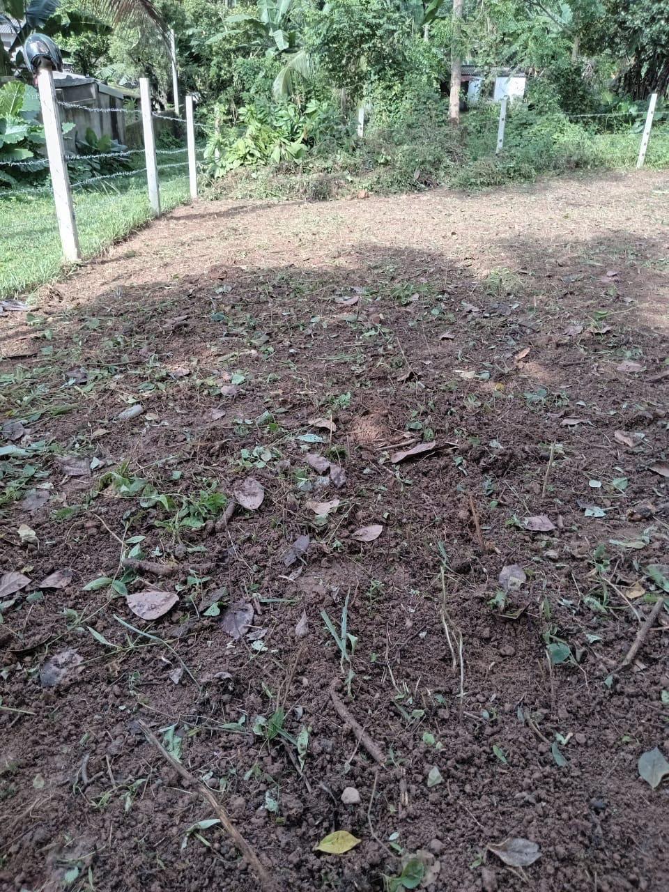Land for Sale – Homagama, Uduwana