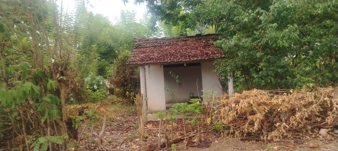 Land for Sale in Mahaoya