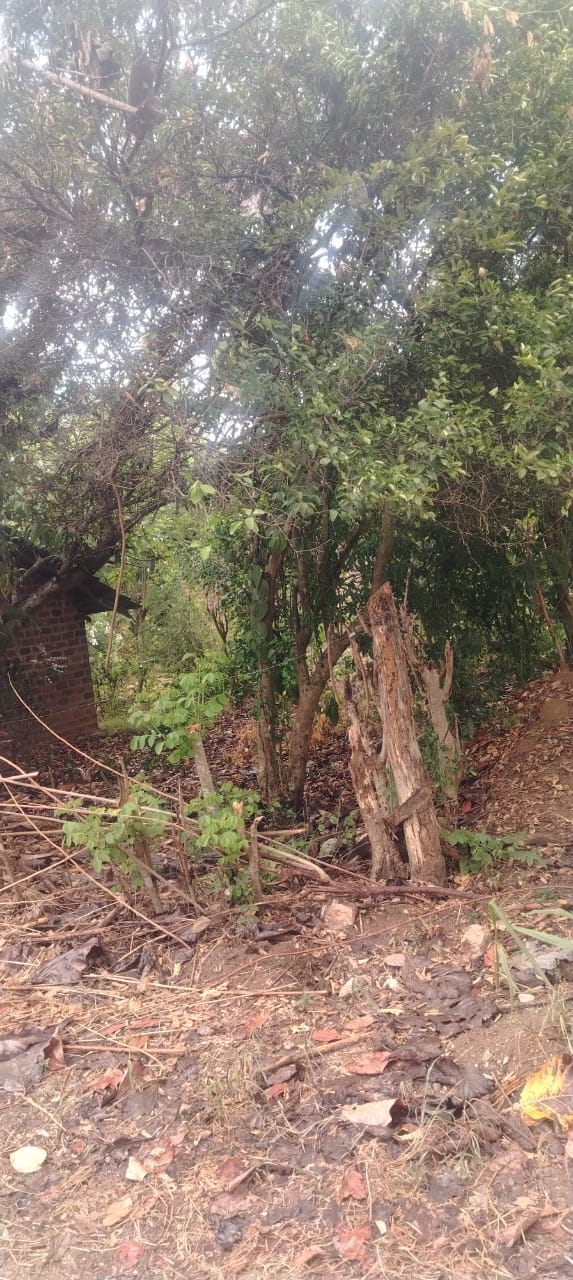 Land for Sale in Mahaoya