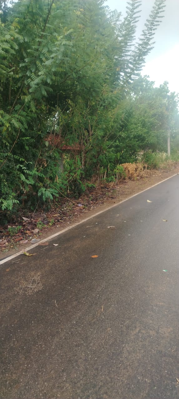 Land for Sale in Mahaoya