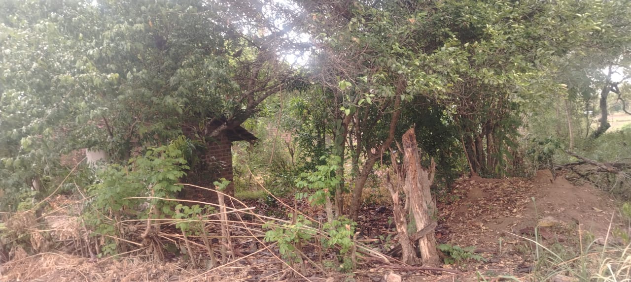 Land for Sale in Mahaoya