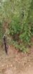 Land for Sale in Mahaoya
