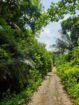 ඇල්පිටිය – කොළඹ මාර්ගයට මිටර් 150 දුරින් ඉඩමක්