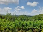 ඇල්පිටිය – කොළඹ මාර්ගයට මිටර් 150 දුරින් ඉඩමක්