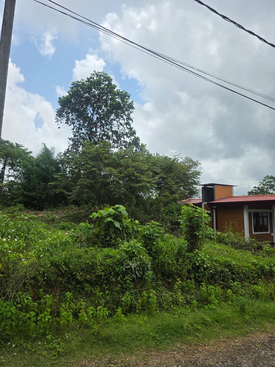 20 Perch Premium Land for Sale in Kumbuka