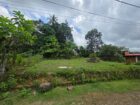 20 Perch Premium Land for Sale in Kumbuka