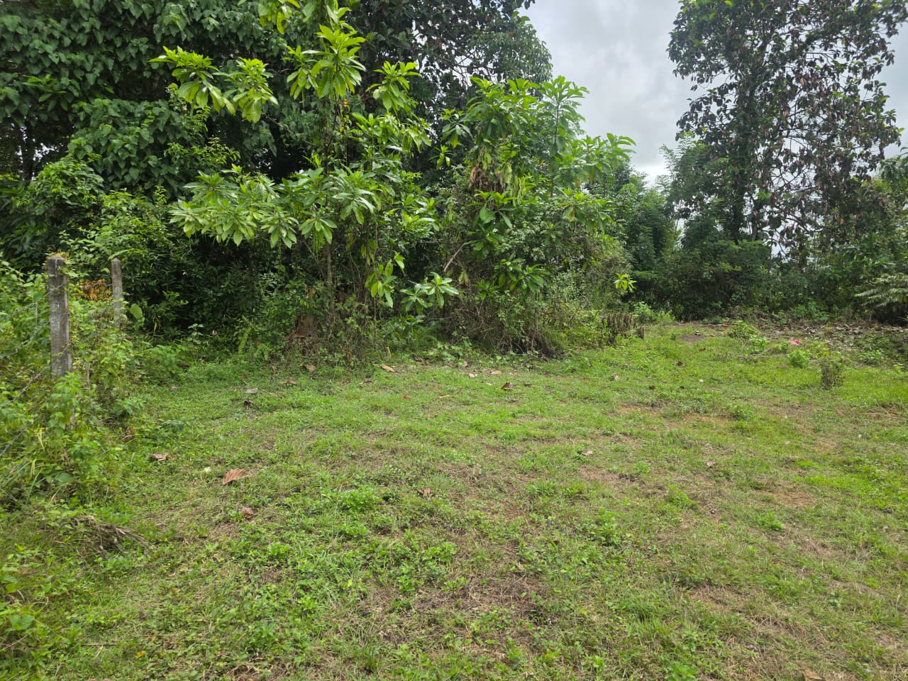 20 Perch Premium Land for Sale in Kumbuka