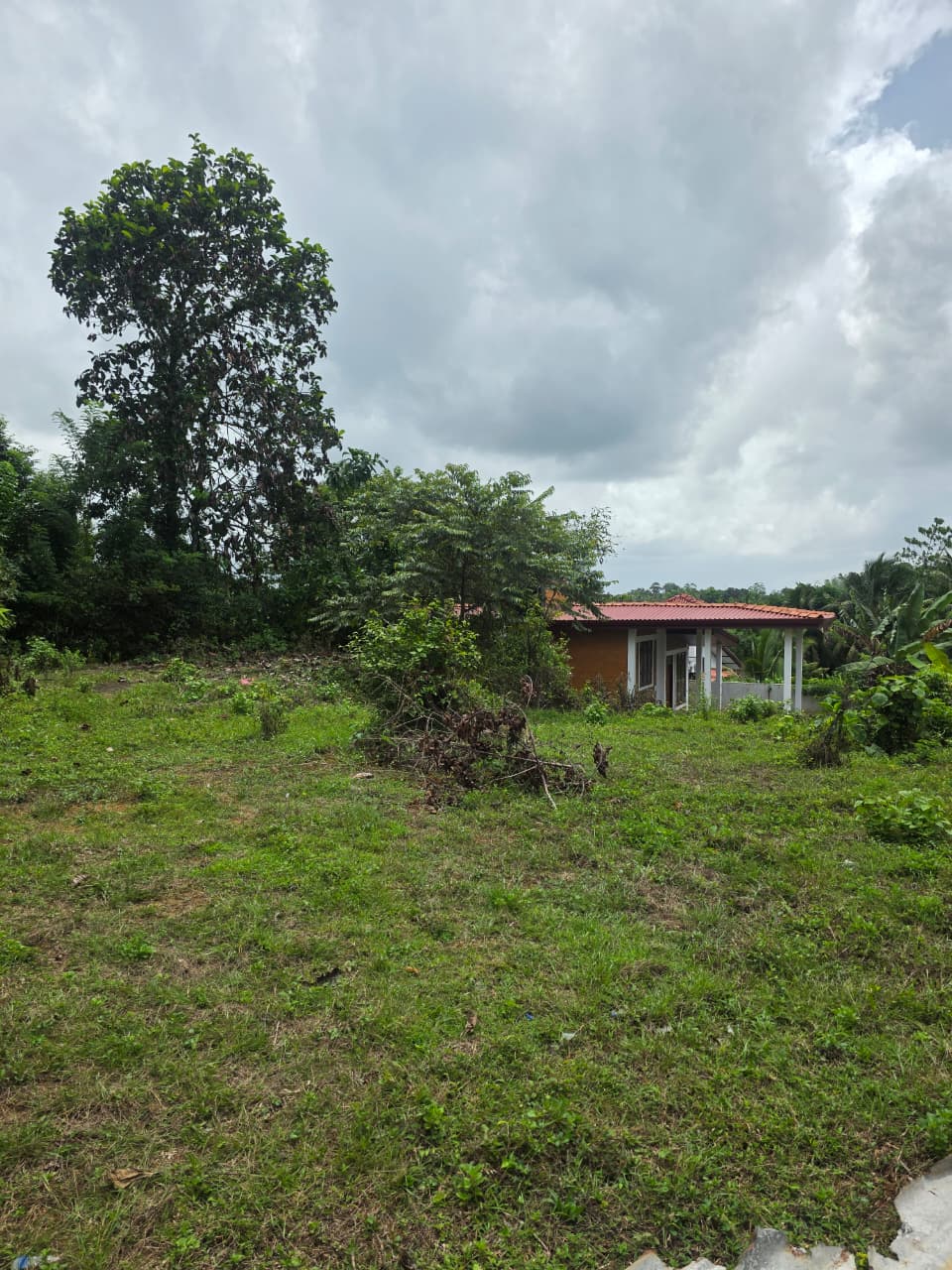 20 Perch Premium Land for Sale in Kumbuka