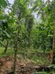 Modern Three Storey House with Land Sale – Badalkumbura