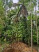 Modern Three Storey House with Land Sale – Badalkumbura