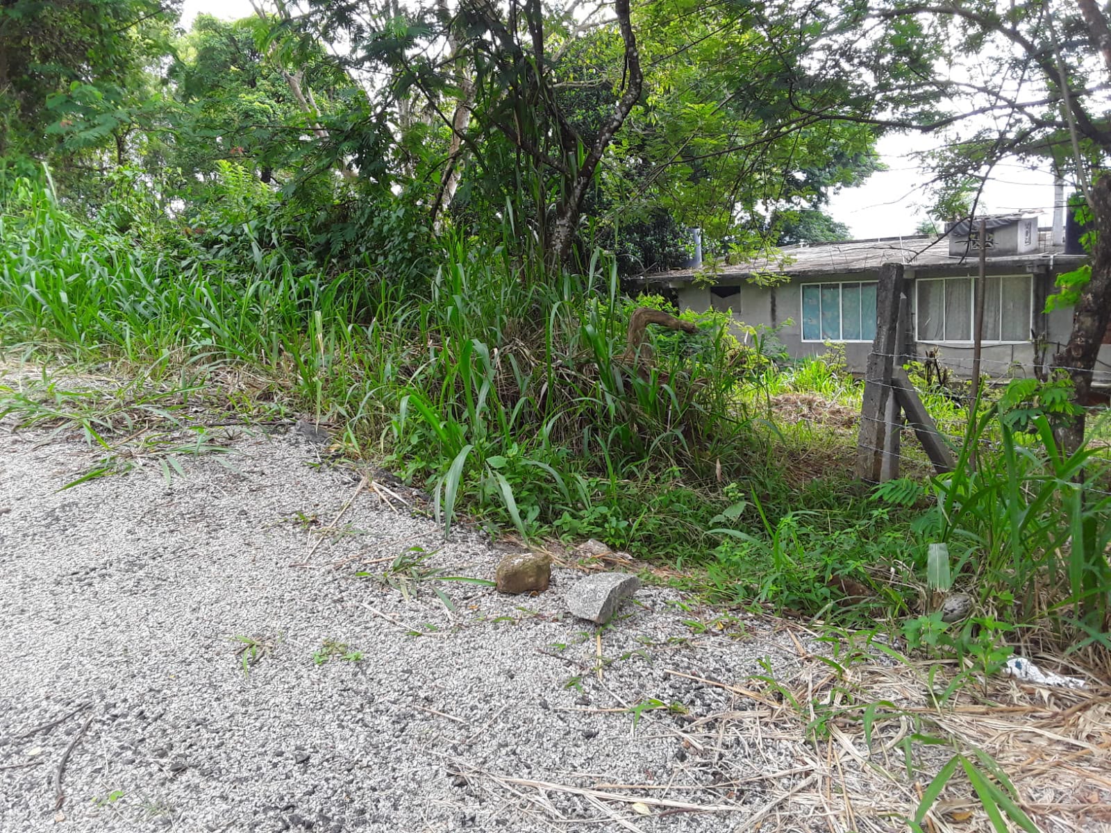 Land For Sale In Kandy
