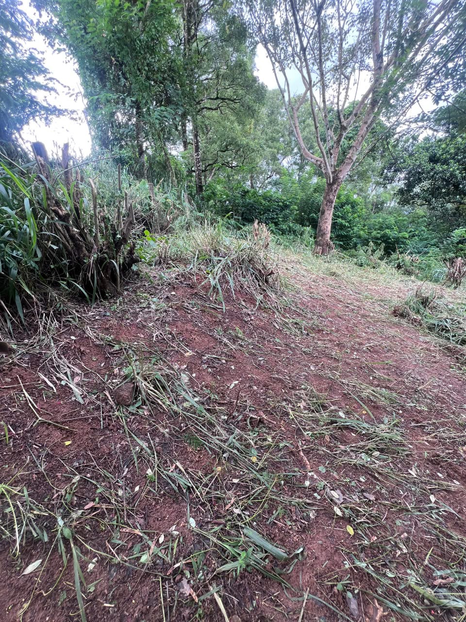 Land For Sale In Kandy