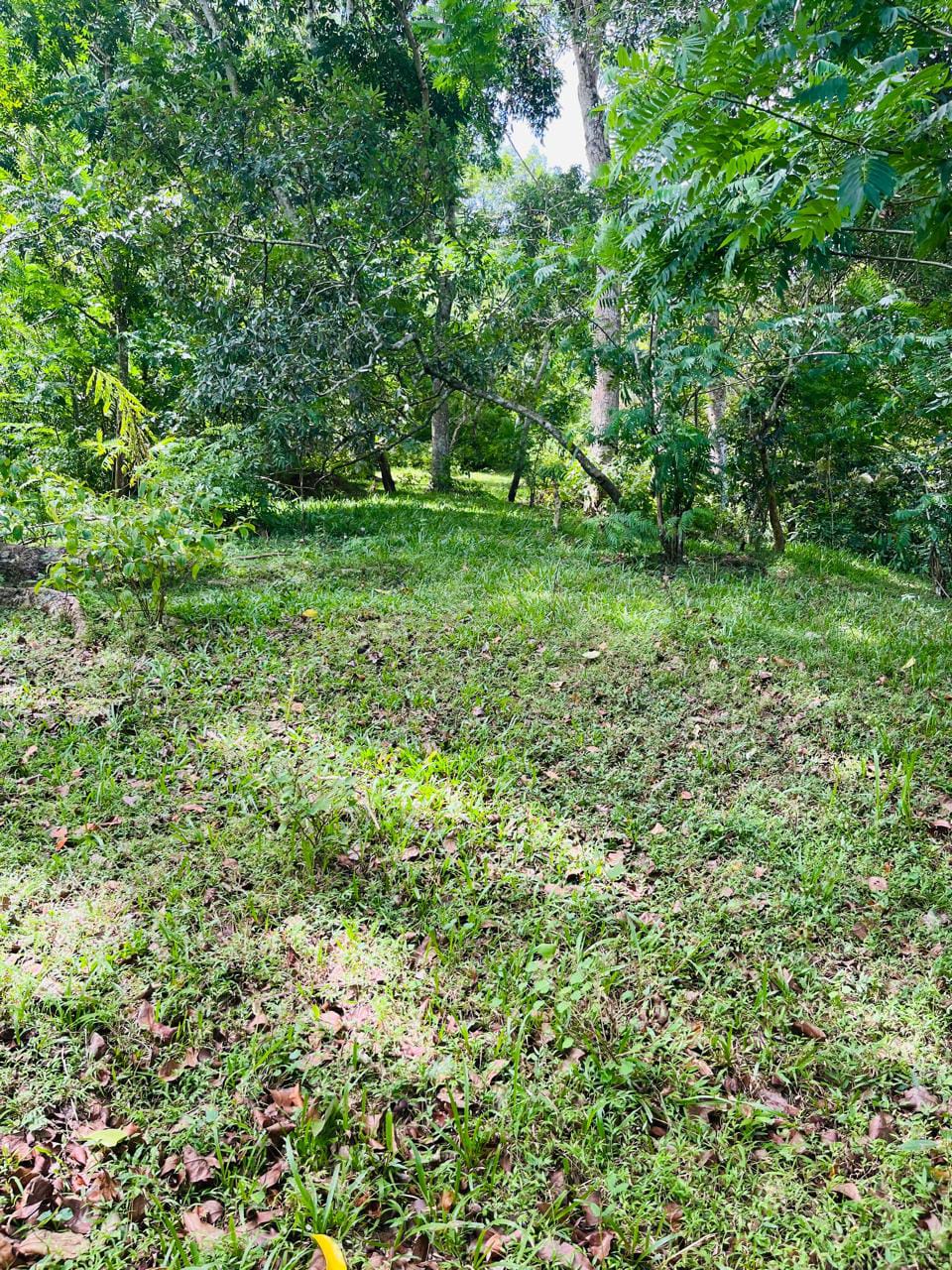 Land For Sale In Badulla