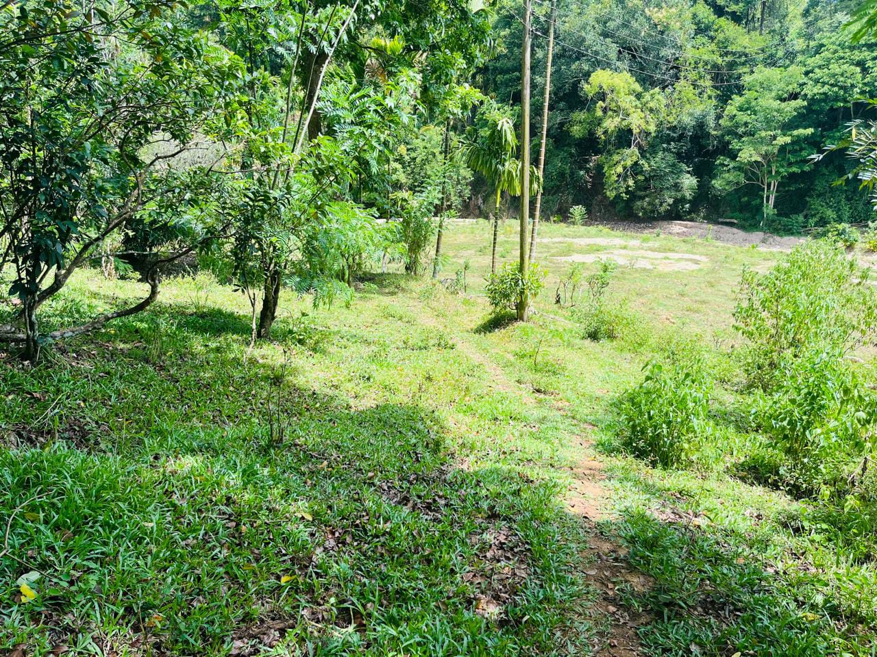 Land For Sale In Badulla
