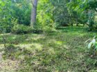 Land For Sale In Badulla