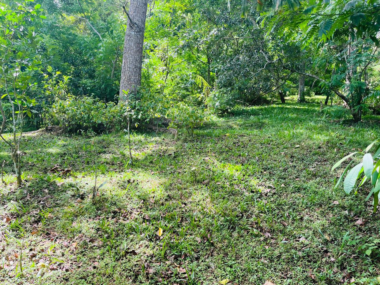 Land For Sale In Badulla