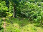 Land For Sale In Badulla