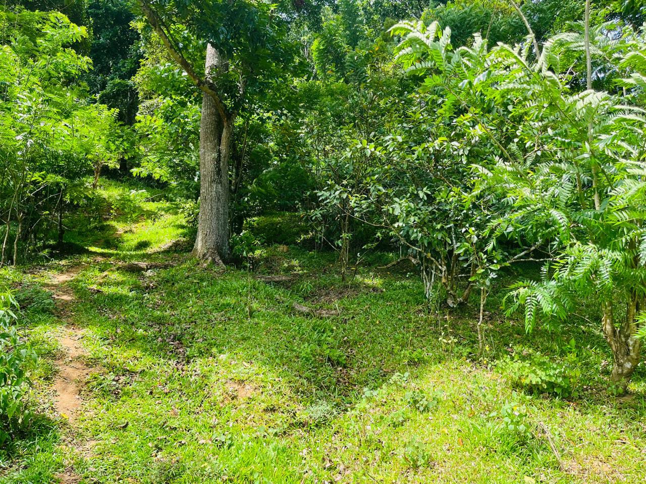 Land For Sale In Badulla