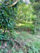 Land For Sale In Badulla