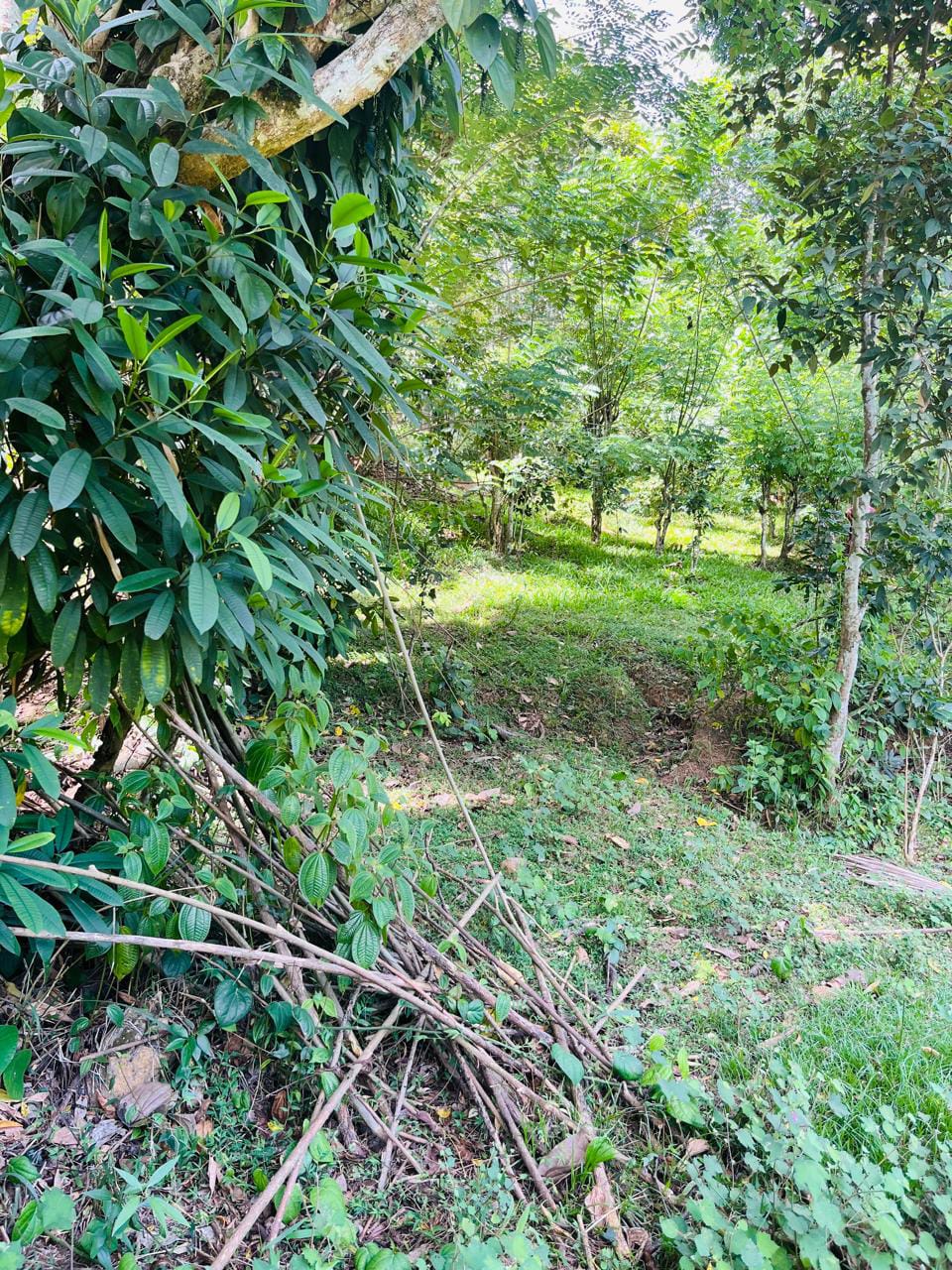 Land For Sale In Badulla