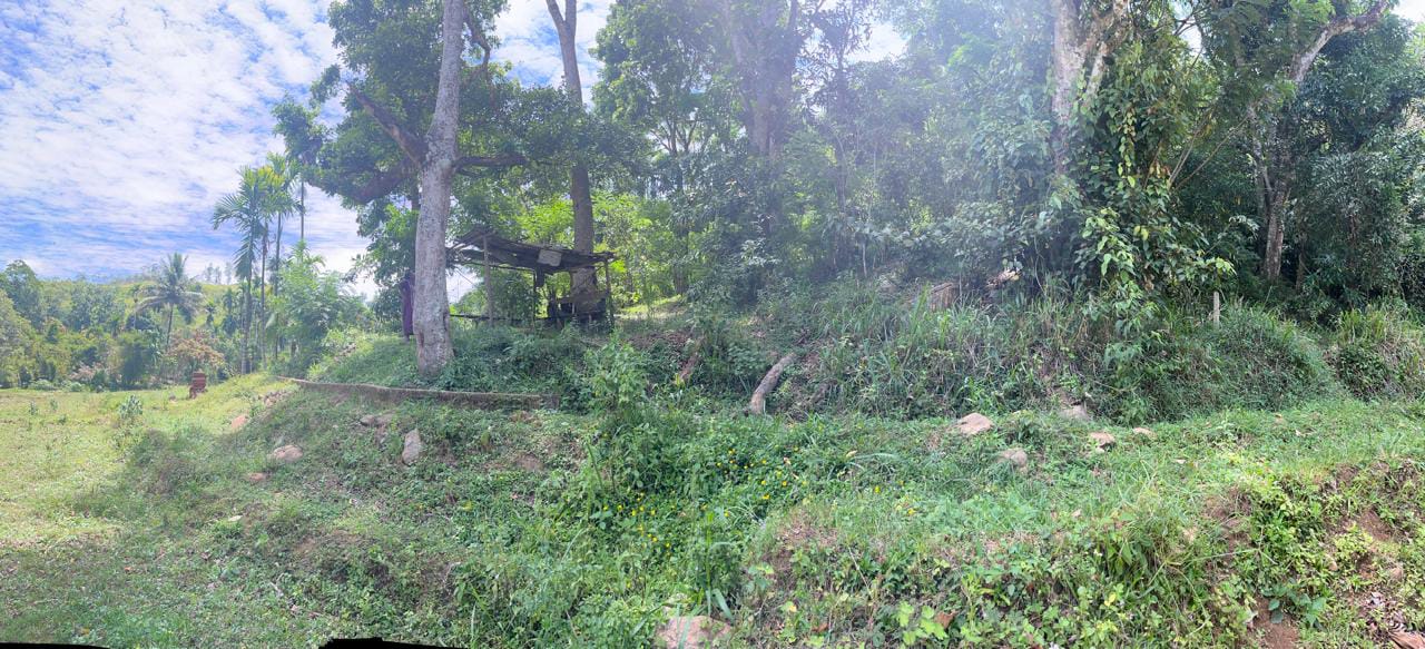 Land For Sale In Badulla