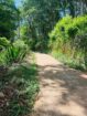Land For Sale In Badulla
