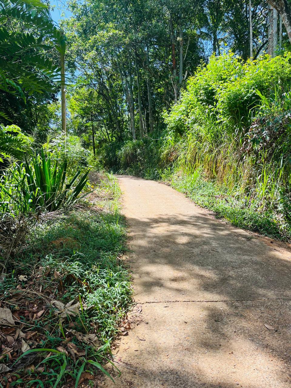 Land For Sale In Badulla