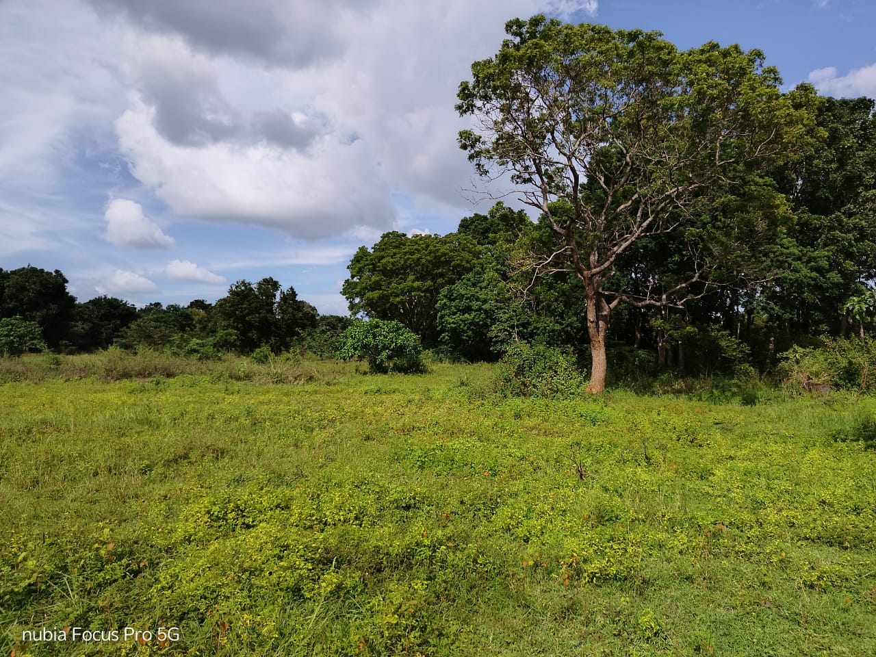 Land for Sale in Habarana