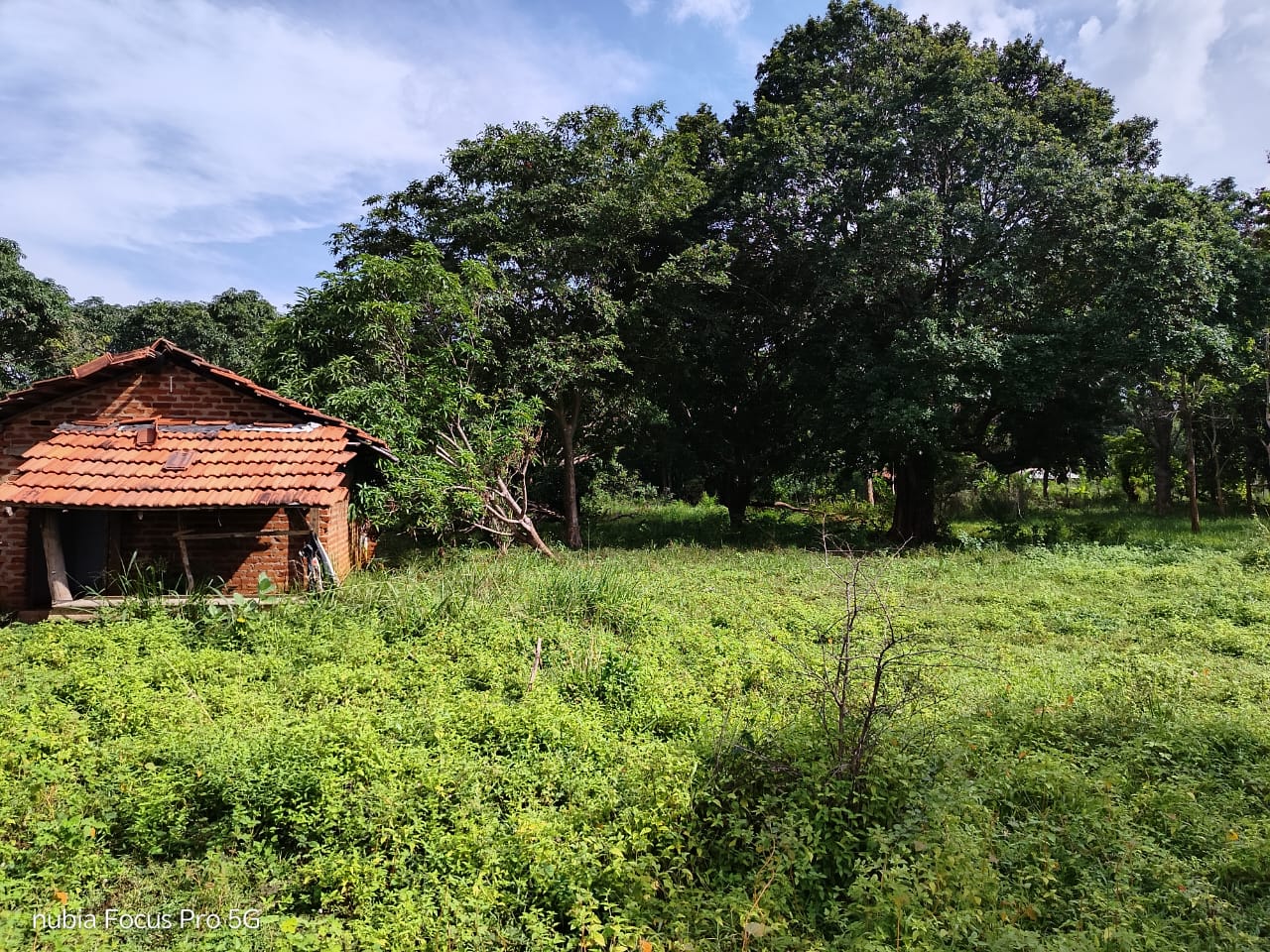 Land for Sale in Habarana