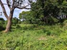 Land for Sale in Habarana