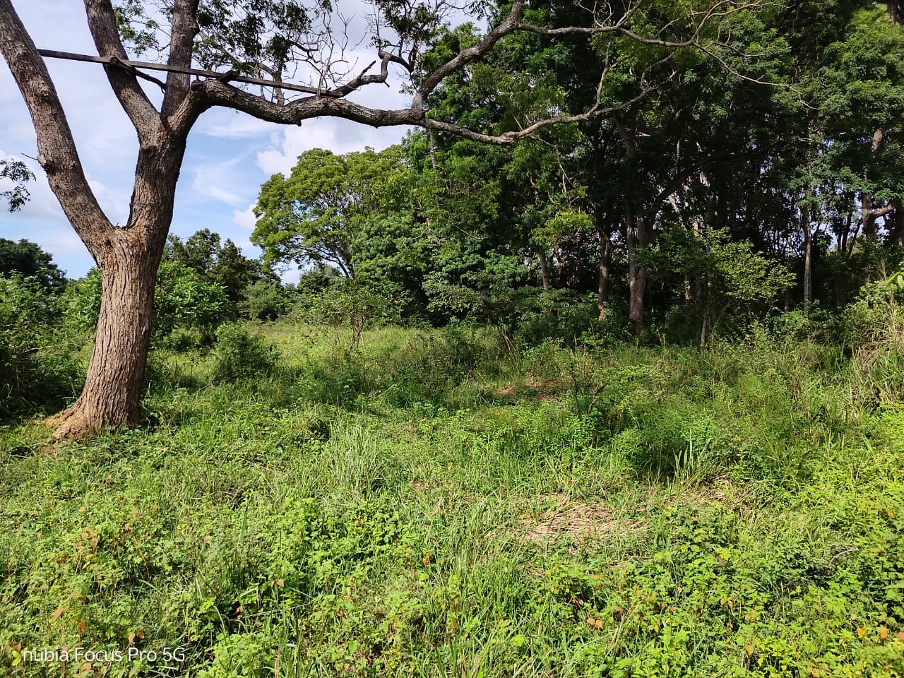 Land for Sale in Habarana