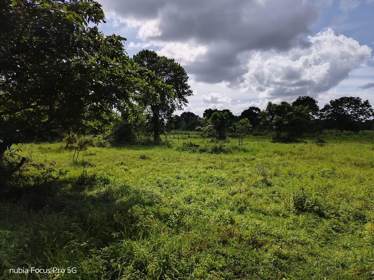 Land for Sale in Habarana