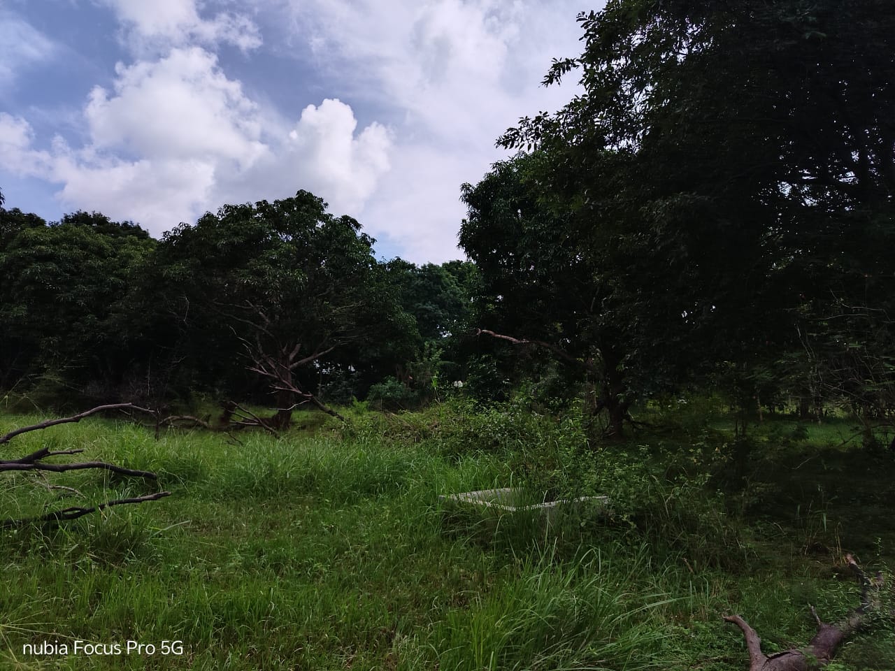 Land for Sale in Habarana