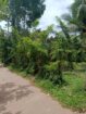 Valuable Land for Sale in Kadawatha