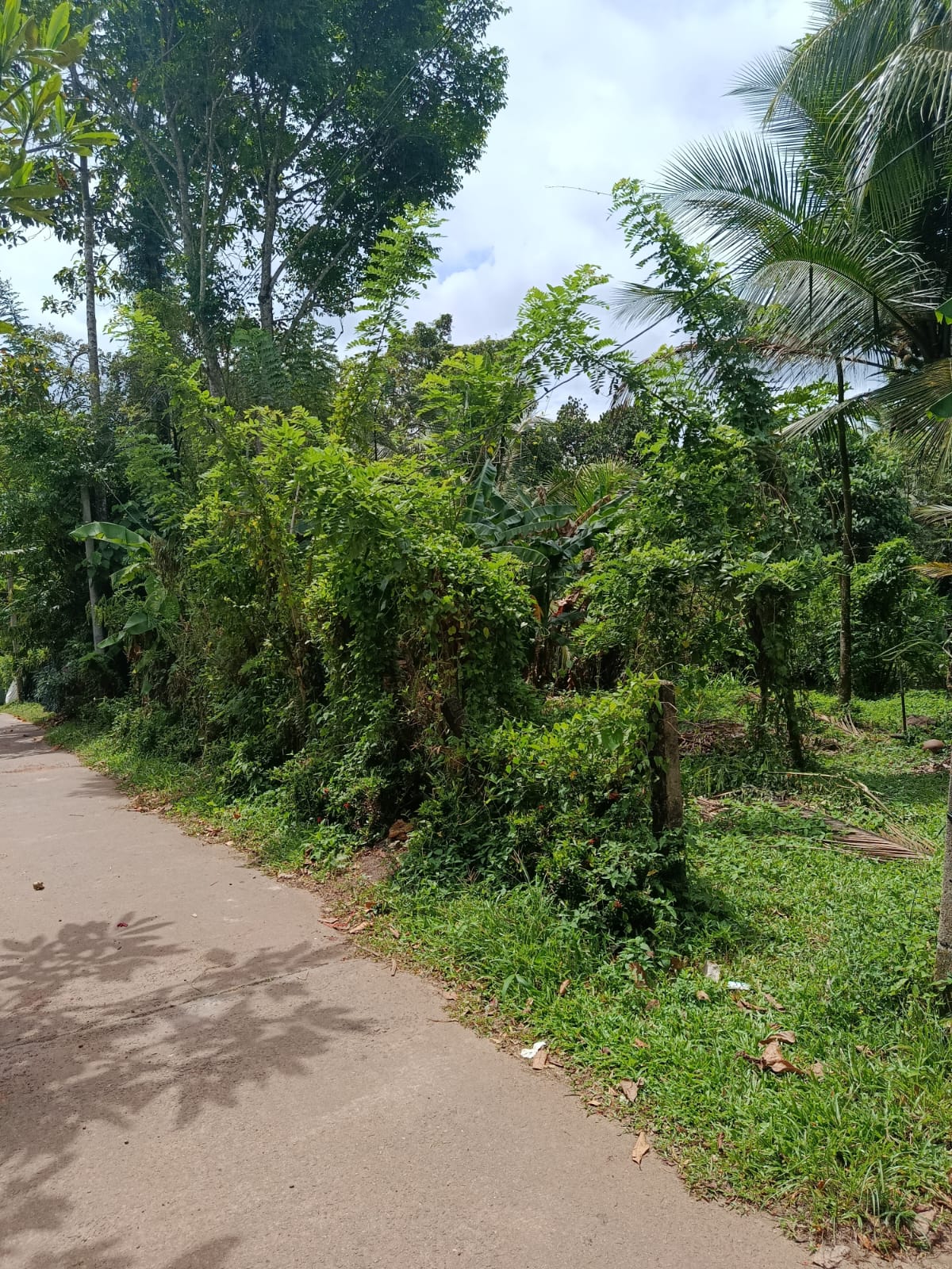 Valuable Land for Sale in Kadawatha