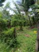 Valuable Land for Sale in Kadawatha