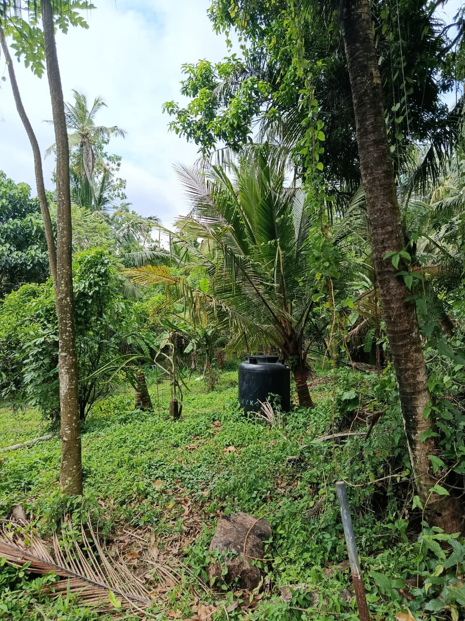 Valuable Land for Sale in Kadawatha