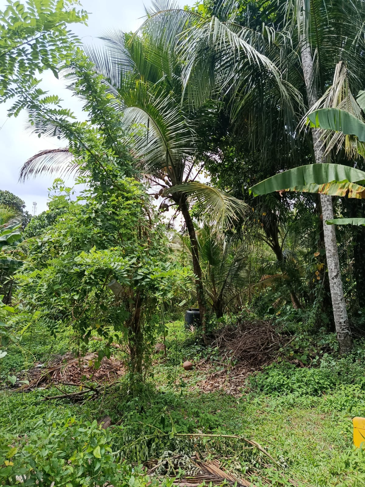 Valuable Land for Sale in Kadawatha