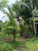 Valuable Land for Sale in Kadawatha