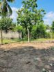 🏡 පානදුර – නිව්ඩාව (Newdawa) ඉඩමක් විකිණීමට